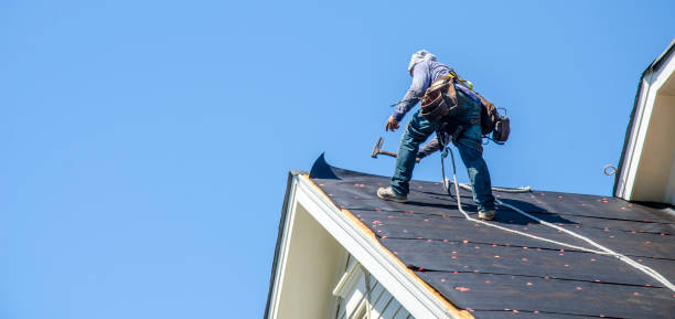Best Roof Maintenance Services  in Star Valley, AZ